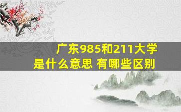 广东985和211大学是什么意思 有哪些区别